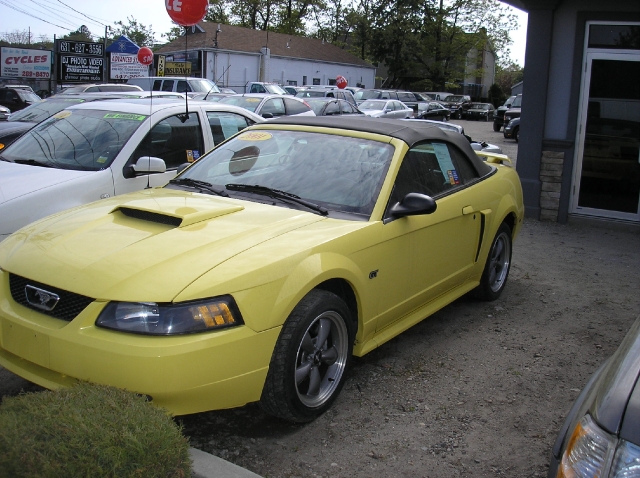 Image 6 of 2001 Ford Mustang GT…